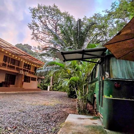 Cool Waters Jungle Villas Uvita Zewnętrze zdjęcie