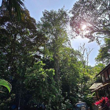Cool Waters Jungle Villas Uvita Zewnętrze zdjęcie