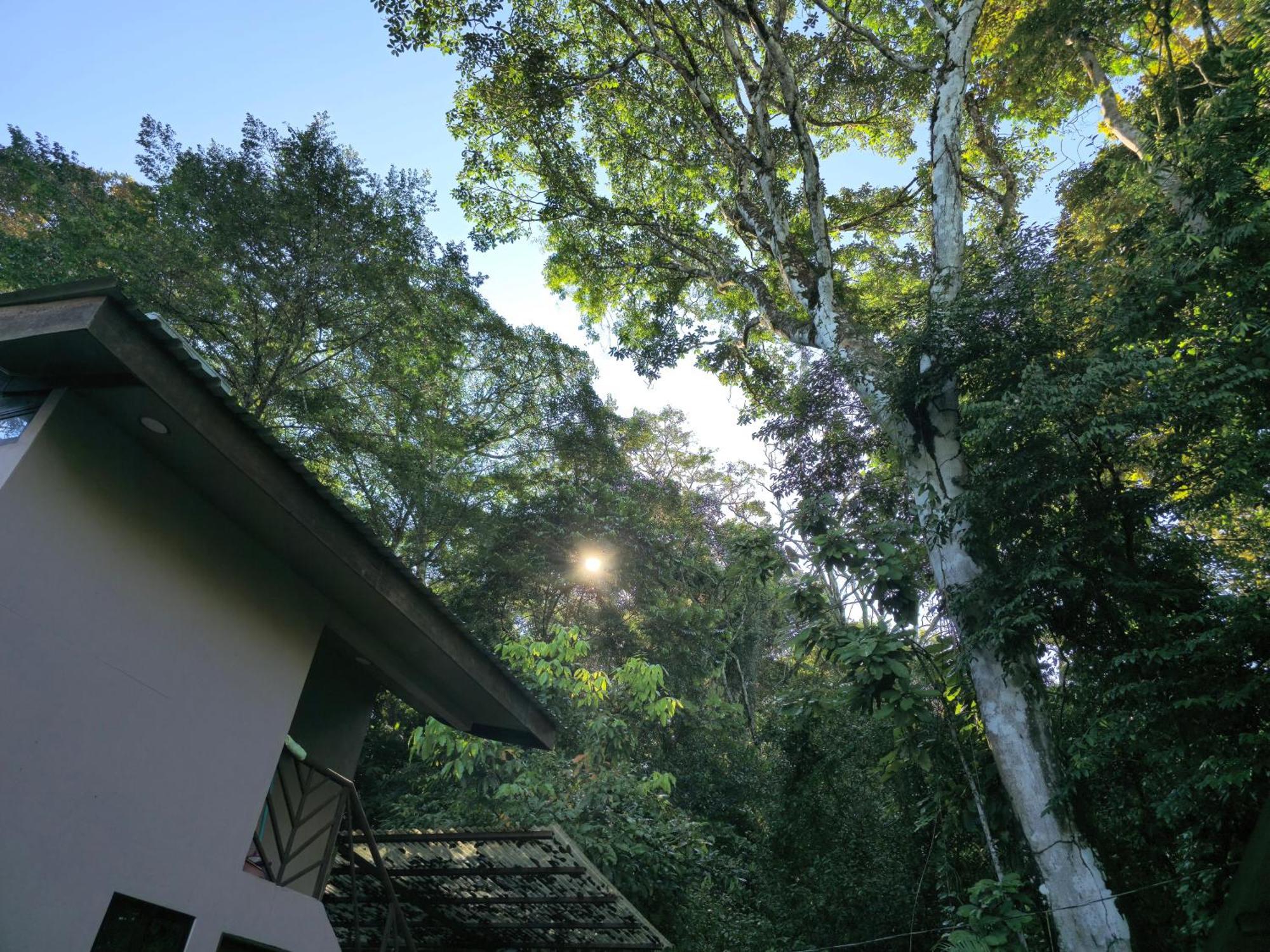 Cool Waters Jungle Villas Uvita Zewnętrze zdjęcie