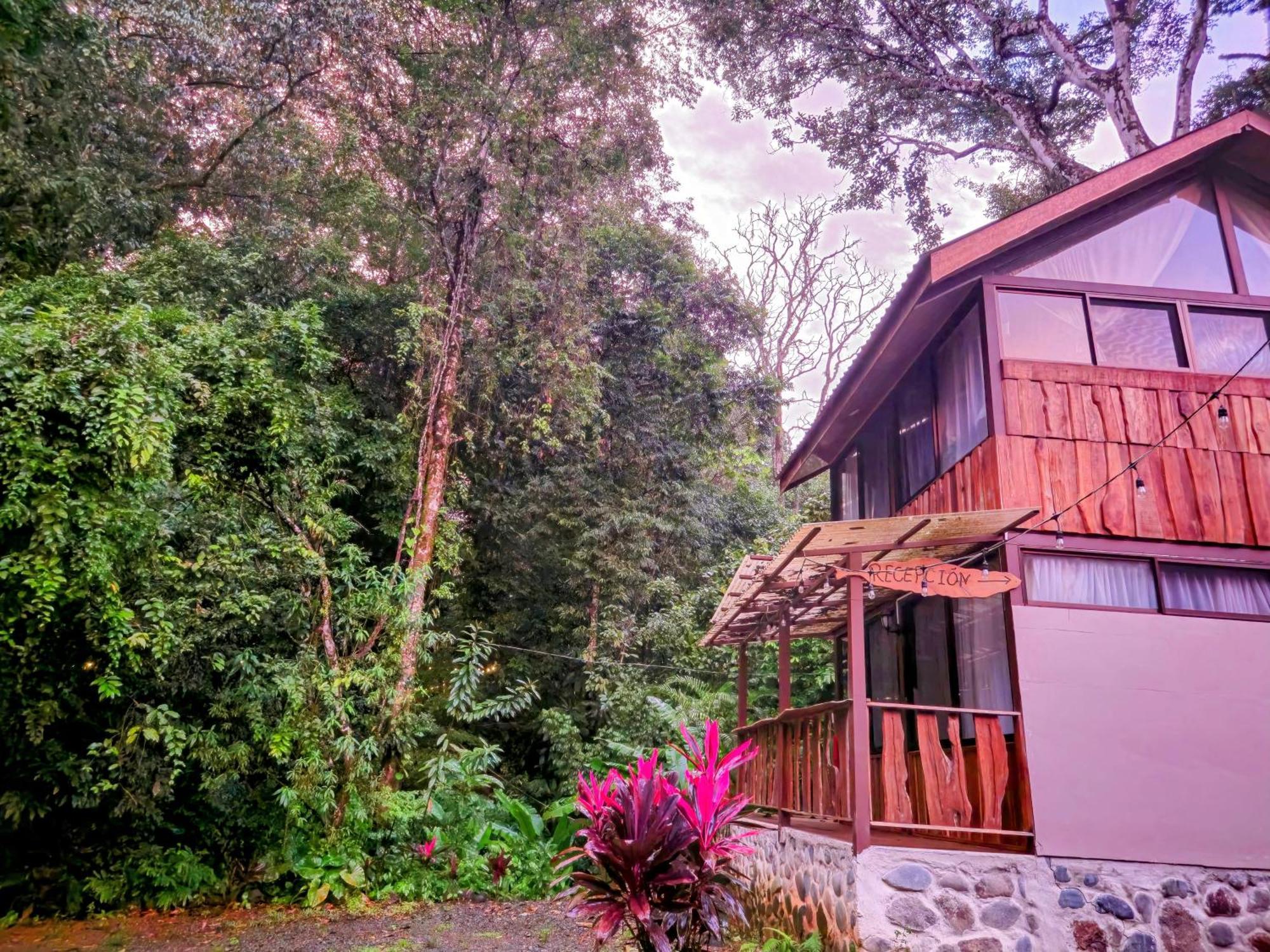 Cool Waters Jungle Villas Uvita Zewnętrze zdjęcie