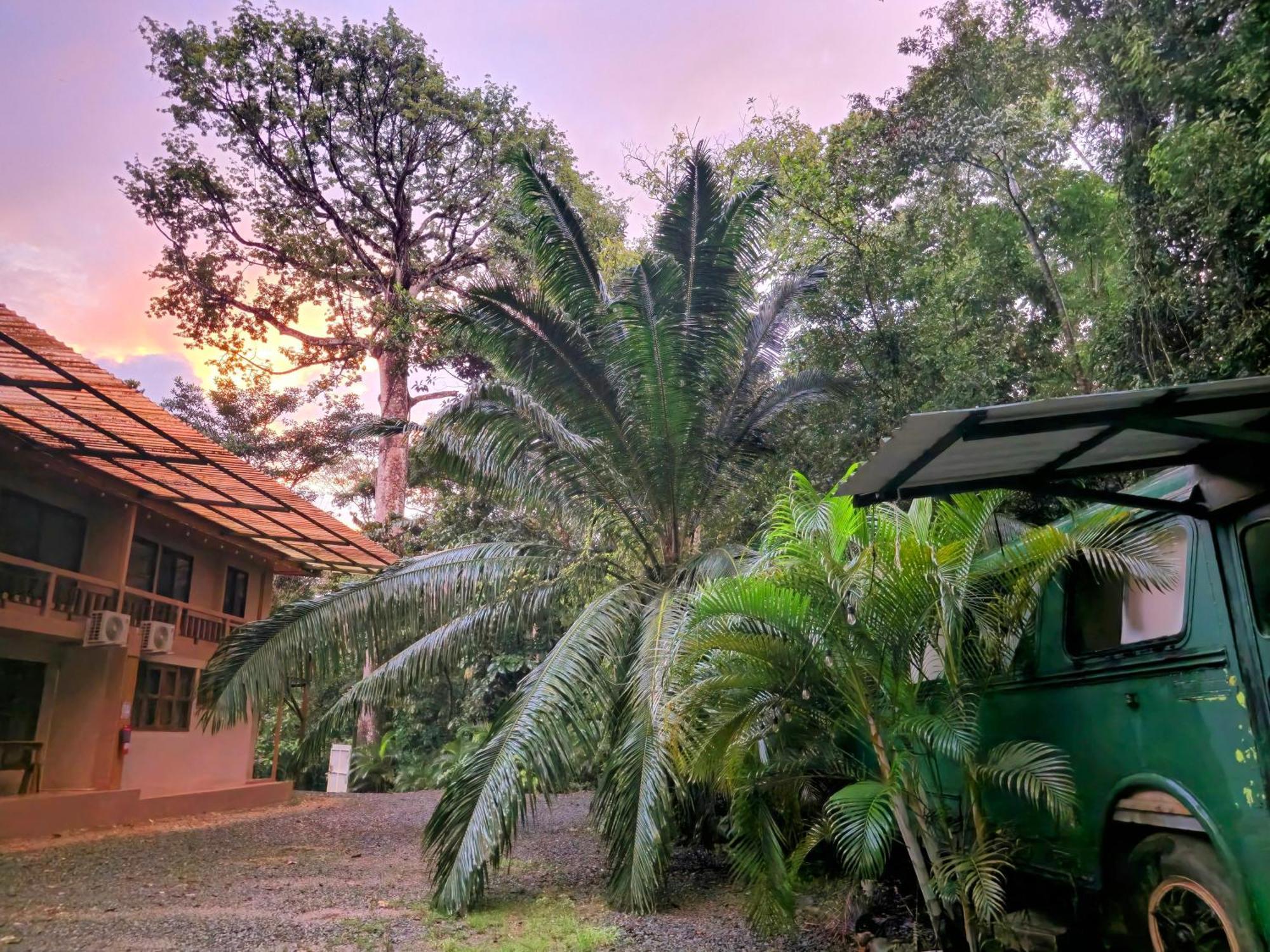 Cool Waters Jungle Villas Uvita Zewnętrze zdjęcie