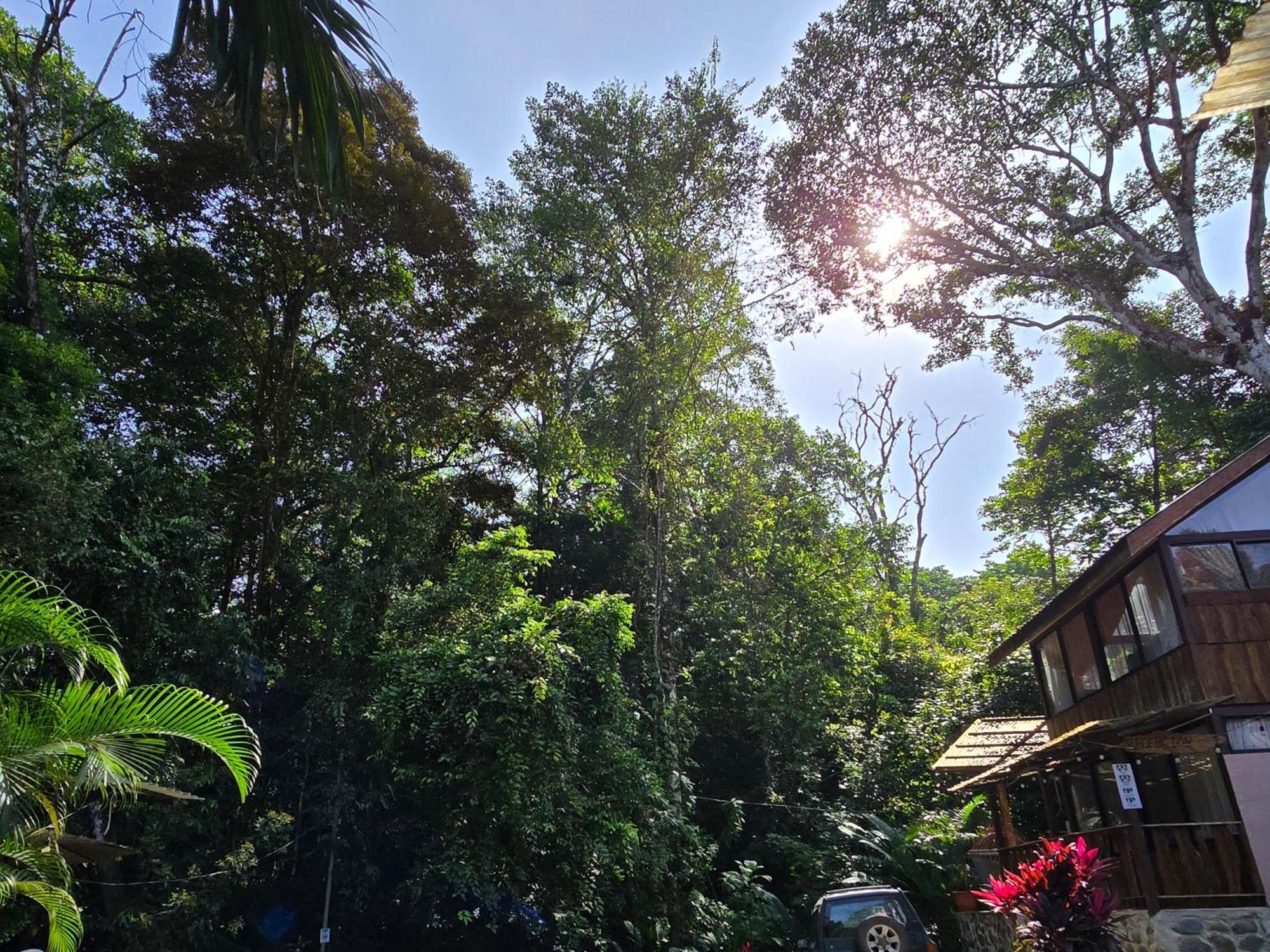 Cool Waters Jungle Villas Uvita Zewnętrze zdjęcie