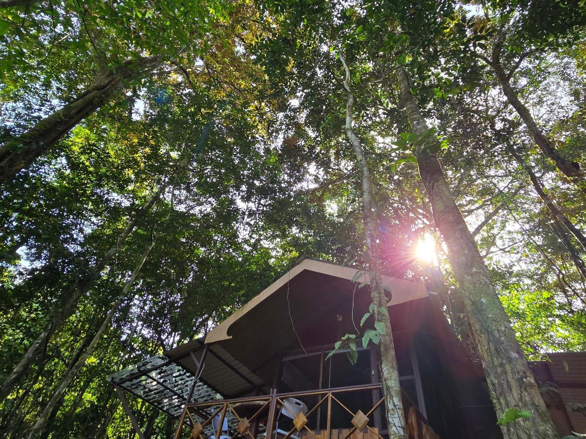 Cool Waters Jungle Villas Uvita Zewnętrze zdjęcie