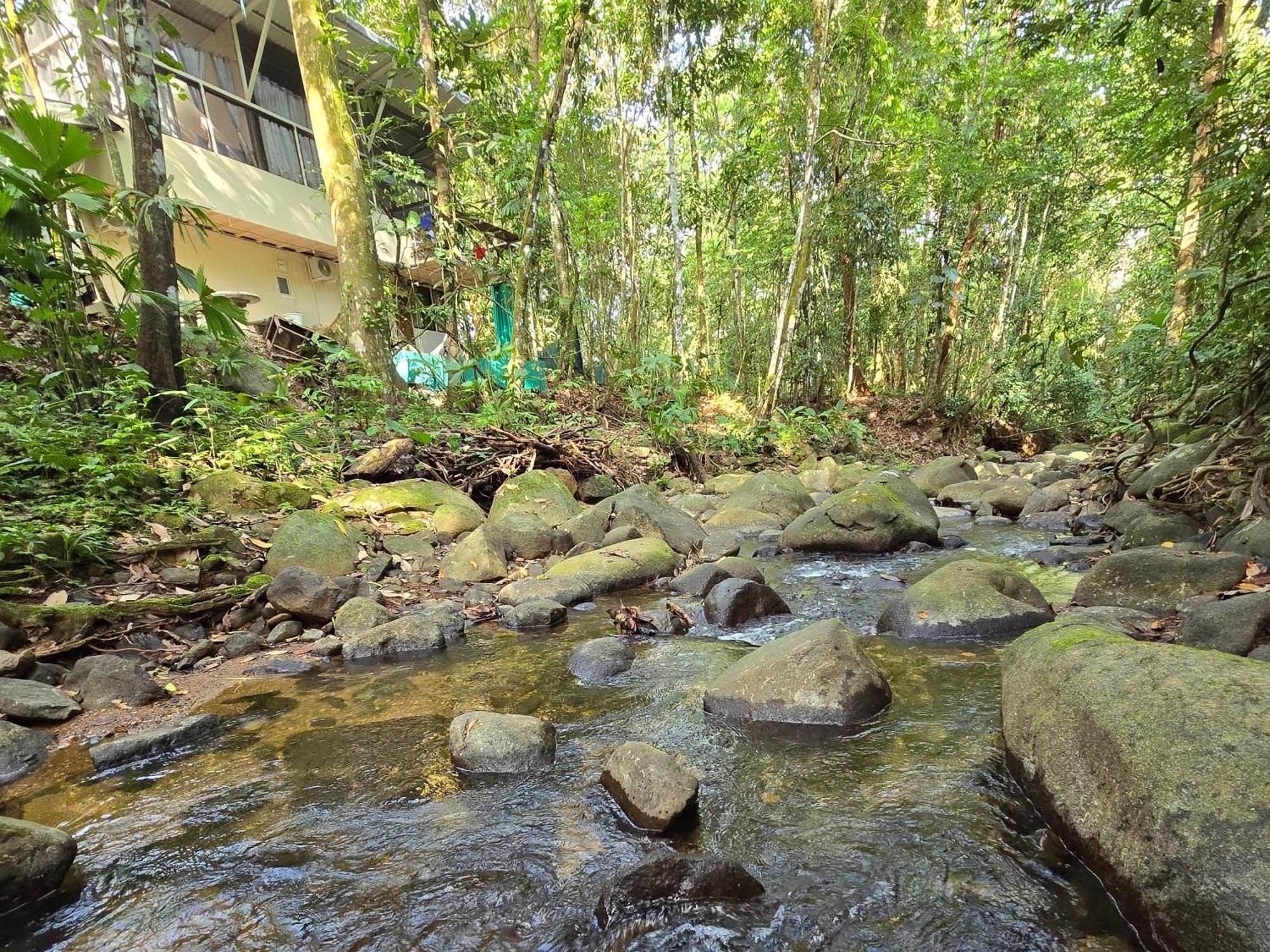 Cool Waters Jungle Villas Uvita Zewnętrze zdjęcie